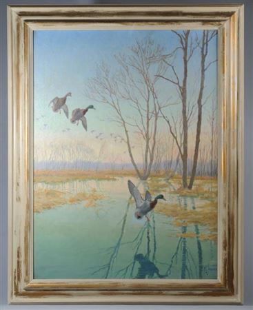 Three Mallards descending over a marsh at twilight