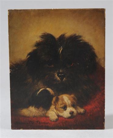 Mother Dog & Pups