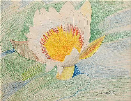 Waterlily