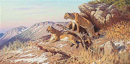 Two Cougars by Dwayne Harty - Auction record, sale price, and art valuation. Compare with similar artists and explore comparable artworks.