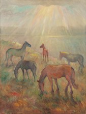 Hevosia, sateen jälkeen