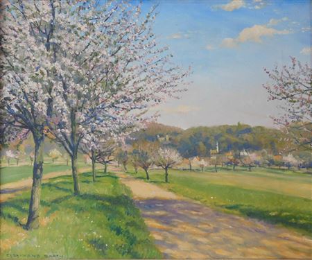 Almond tree blossoms, 1942.