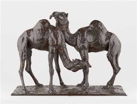 Two dromedaries by Thierry Van Rijswijck - Auction record, sale price, and art valuation. Compare with similar artists and explore comparable artworks.