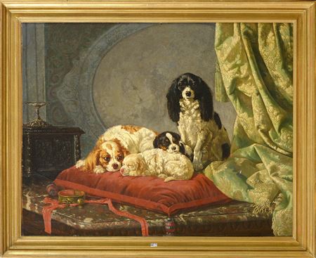 "The dogs of the Verstraete family".