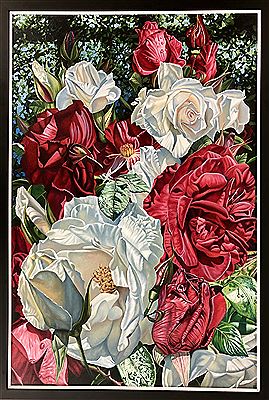 Roses