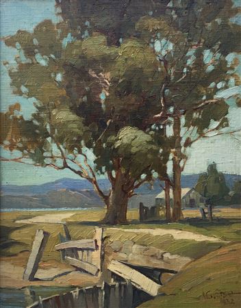 Morning Light, Whitianga
