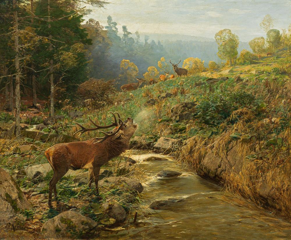Deer herd at a forest stream