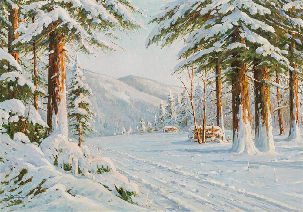 Winter forest