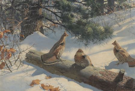 Grouse on a Log - 1949