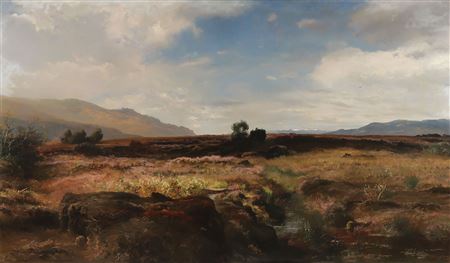 Expansive Moorland Landscape - 1909