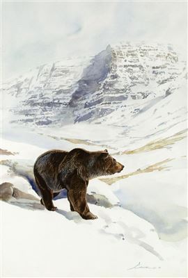 GRIZZLY IN SNOW by Stephen (Steve) C Elliott - Auction record, sale price, and art valuation. Compare with similar artists and explore comparable artworks.