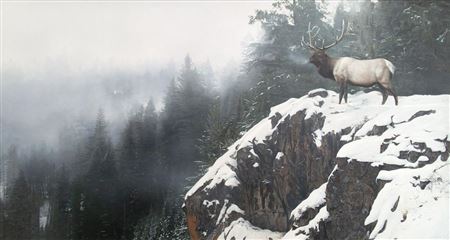 King of the Mountain