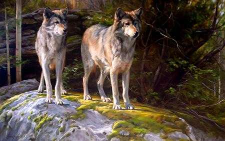 Watchers of the Forest