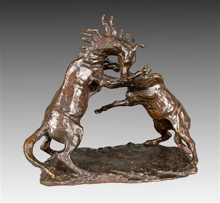 Fighting Horses