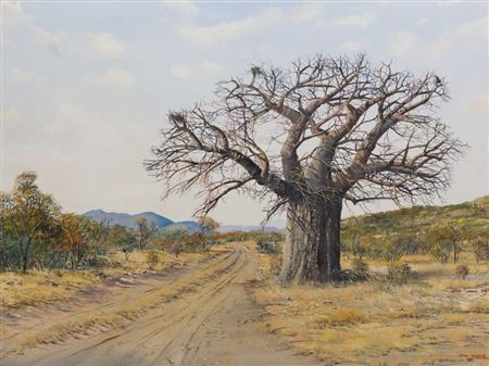 Baobab