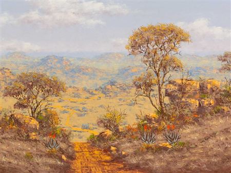 Bushveld Landscape with Aloes by Henry Bredenkamp - Auction record, sale price, and art valuation. Compare with similar artists and explore comparable artworks.
