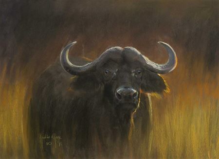 Buffalo