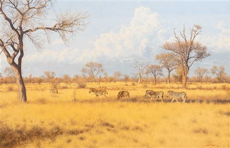 Bushveld Landscape with Zebras & Impala