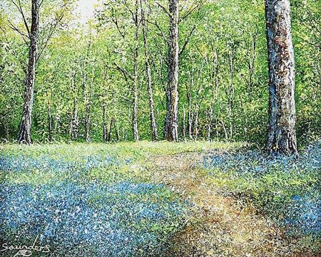 BLUEBELL WOODS