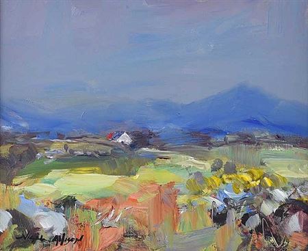 AFTER THE RAIN, MOURNE MOUNTAINS