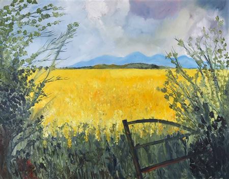 THE CORN FIELD