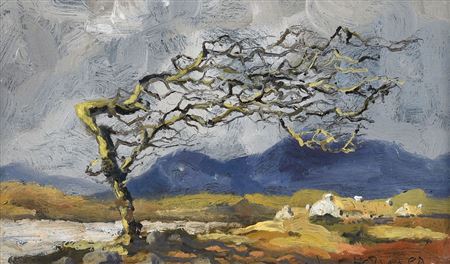 Fairy Thorn Tree, Donegal