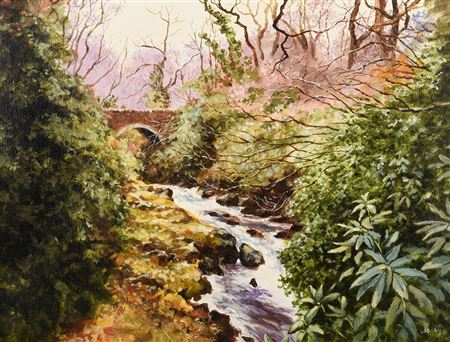 Tollymore Forest