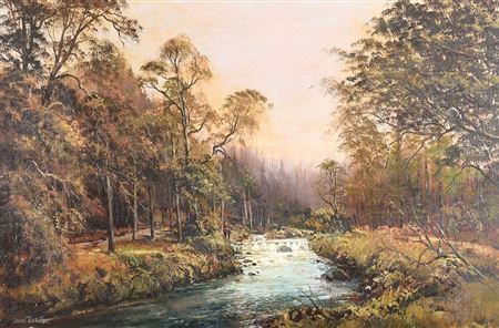 TOLLYMORE FOREST, NEWCASTLE