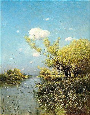Marshy Land
