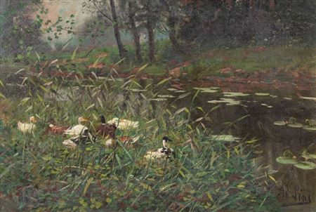 Enten im Schilf