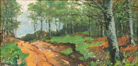 Oberbayerischer Waldweg
