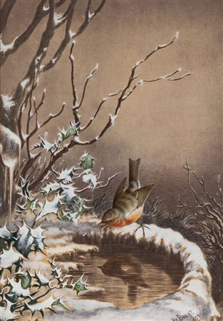 Rotkehlchen im Winter