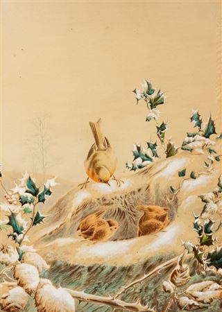 Rotkehlchen am Nest