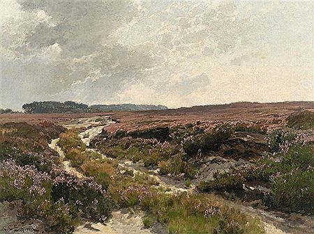 Moor landscape in bloom