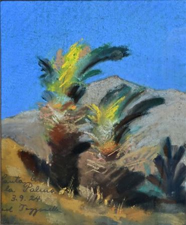 Plants on La Palma