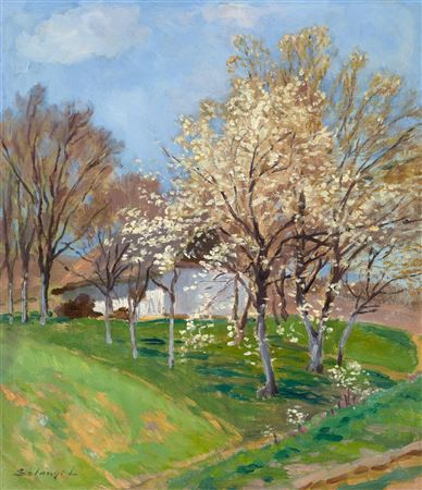 Spring Blossom