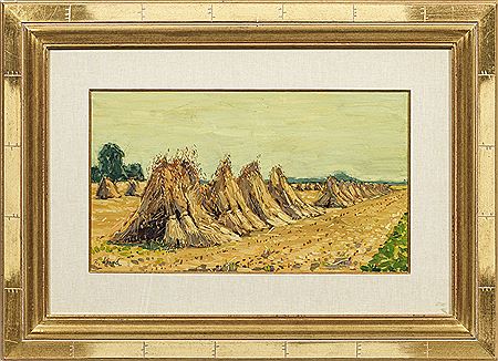 Paysage avec des tiges de maïs