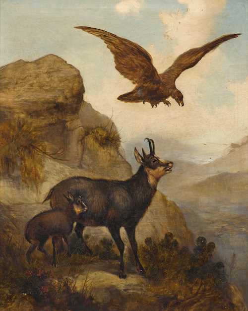 A chamois with offspring and an eagle.