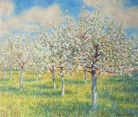 Apple trees in bloom