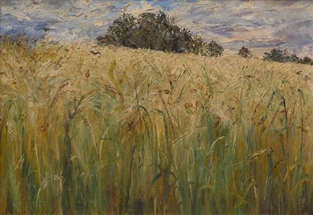 Barley Field and Approaching Storm 1980 by Tessa Perceval - Auction record, sale price, and art valuation. Compare with similar artists and explore comparable artworks.