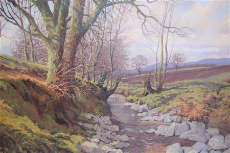 Rocky river landscape