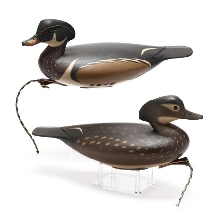 Pair of Wood Ducks