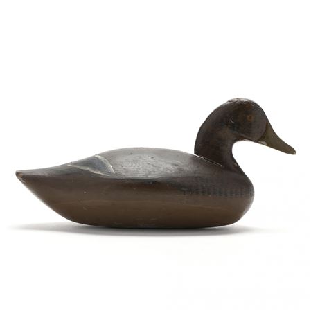 Hen Mallard