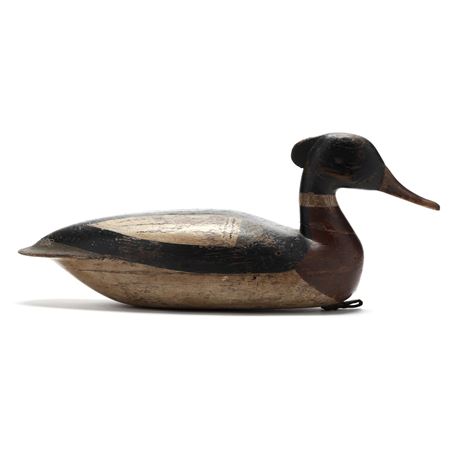 Red Breasted Merganser