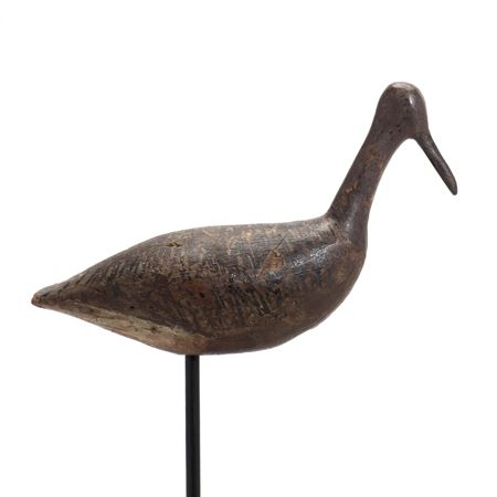 Root Head Willet