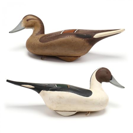 Pair of Pintails