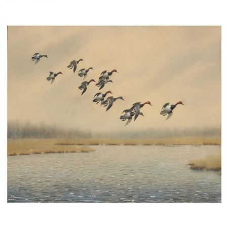 Sample artwork by Joseph Day Knap (1875 - 1962), known for wildlife painting, birds in air - View similar artists and auction records