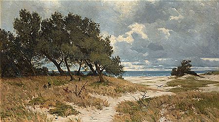 Landscape of wooded dunes on the Baltic Sea beach in Pomerania