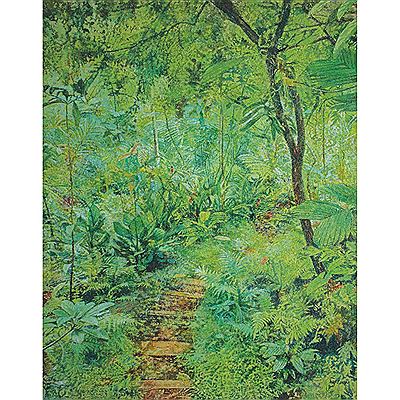 Fern Path