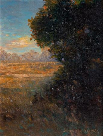 Landscape with Sunlit Field